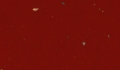 Rojo nieve | 3316 BR